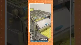 How Frozen French Fries Are Made: From Fresh Potatoes to Packaging!