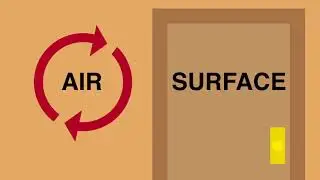 Charlotte Home Inspector Mold Inspections