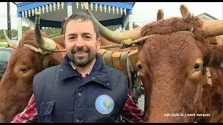 “ENTREVISTAS A CARREADORES” – Rosais / Festa de Santo Antão – Ilha de São Jorge (26.01.2025)