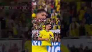 #brazilplayer #brazilian