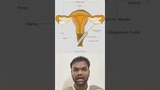 IVF painful-aa? 😟 Full truth in 30 seconds! | Tamil | Jayaram Chandrasekar Embryologist