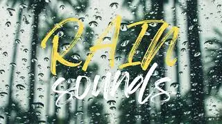 Rain relaxing sounds - transporting you to a place of serenity and peace
