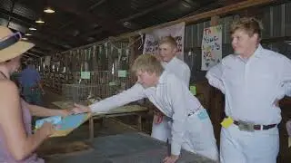 MSU Extension: 4-H Youth Development