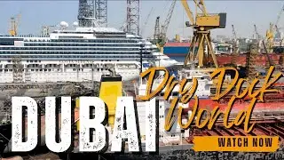 Dubai Dry Dock World 🚢🏗️ #Dubai #DryDock #World