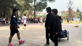 prepaumad vs buchicatas