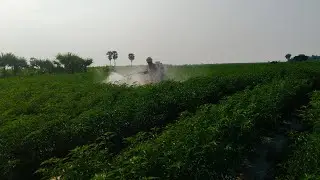 ||రైతే రాజు 🙏🏻#ఈ రోజు మా చేనులో పని #👳🏻👳🏻||