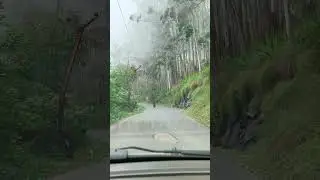 #ghatroad #mountains #drivingexperience #adventure #like #travel