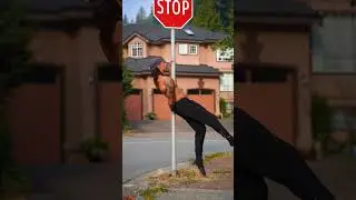 pole plank Powerful strength ~ sigma male 🔥