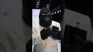 🦍🗽 &ldquo;POV: Your fashion designer is a gorilla in New York.&rdquo; ✅ #Shorts #Gorilla 🦍 #Funny #Viral #POV