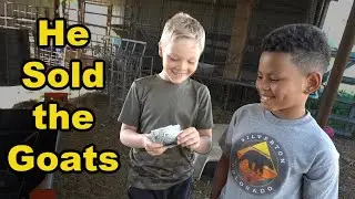 Houston Sold Our Goats!