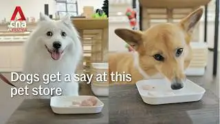The Dog Grocer isn’t your typical pet food store – they do taste tests