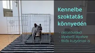 Kutyuskám - Kennelbe szoktatás - oktató videó