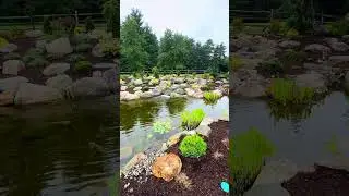 What's a professional pond builders favorite pond they've built??? 😮