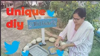 Unique bird feeder diy #trendingvideo#birdslovers #diy #gardenideas #viral #subscribe 