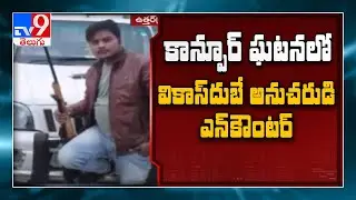 Vikas Dubey's close aide Amar Dubey shot dead in police encounter - TV9