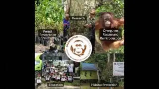 Forest Restoration Programme