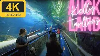 SEA LIFE Kelly Tarlton's Aquarium | Walking Tour | Auckland | 4K