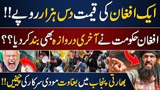 Afghan Refugees in Pakistan: Latest Updates | Afghanistan Govt Statement | PU Chandigarh Issue