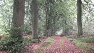 Gemeente Roerdalen: Recreatie en Toerisme midden in Limburg