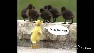 Nicht lachen oder grinsen