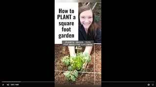 How to PLANT a square foot garden