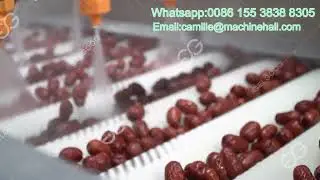 Automatic Dates Fruits Washing And Drying Machine