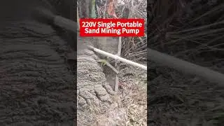 220V Single Portable Submersible Sand Mining Pump Dredging Sand From River: WhatsApp:+86 19358176191