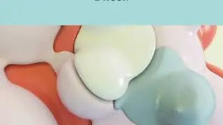 Dwson 