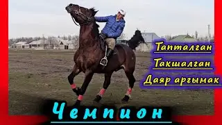 Чемпиондун линиясына барат дейт 💥