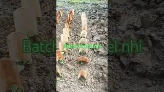 &ldquo;Kheti Wari Bachon Ka Khel Nahi Hai 💪🌾 | Desi Reality&rdquo; #shortsfeed #viralreels #reelsindia #reels