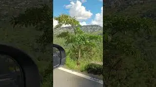 Almora view from Ranikhet road#shortsviral