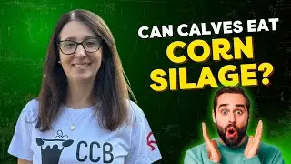 Dr. Carla Bittar: Forage for Dairy Calves