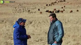 Paul verduidelik hoe werk so drukbeweidingstels met beeste en skape.