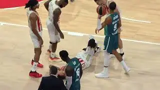 Crvena zvezda Baskonia 90:72 Donatas Motiejunas na parketu 