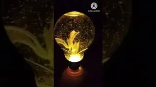 How to make a water bulb light #shorts #youtubeshorts #water