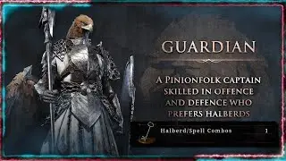 Halberd/Spell Specialist: THE GUARDIAN enters the Elden Ring #eldenring #eldenringnightreign #erpvp