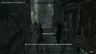 Skyrim: Unique Faction Arrest Dialoge for The Forsworn Conspiracy