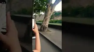 Скоростная Обзорная экскурсия Тбилиси Speed Tour Georgia #travelvlog #georgia