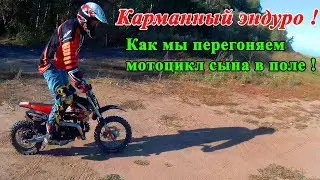 Бородатый мужик на Irbis TTR110! Карманный эндуро. Теперь ты видел ВСЕ!