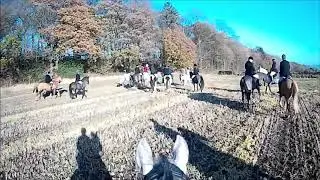 Readyfield