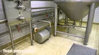 Yeast propagation