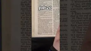 Job 20