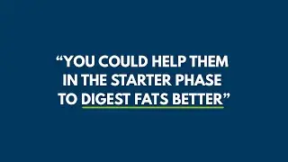 How to help animals digest fats better in the starter phase | Feed for Speed | 🇳🇱 Olus
