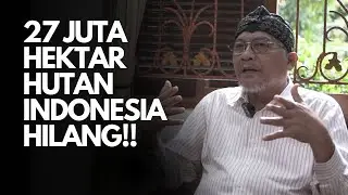 27 Million Hectares of Indonesian Forest Lost!!