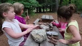 ANE: Squam Lakes Natural Science Center