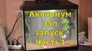 Аквариум AquaPlus 35 литров. Запуск аквариума Часть 1