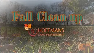 Fall cleanup service in Delaware, Lewis Center, Powell, and surrounding areas in Ohio