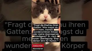 Der Witzeerz&auml;hler rastet aus: Pure Comedy.