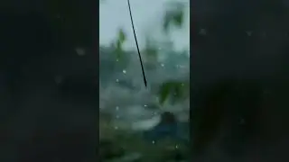 VN editing #nature #trendingshorts #shorts #youtubeshorts #cinematography #rain #shortvideo