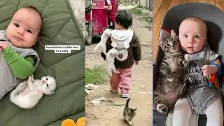 Babies and Cats Being Silly Together 😂 So Cute!